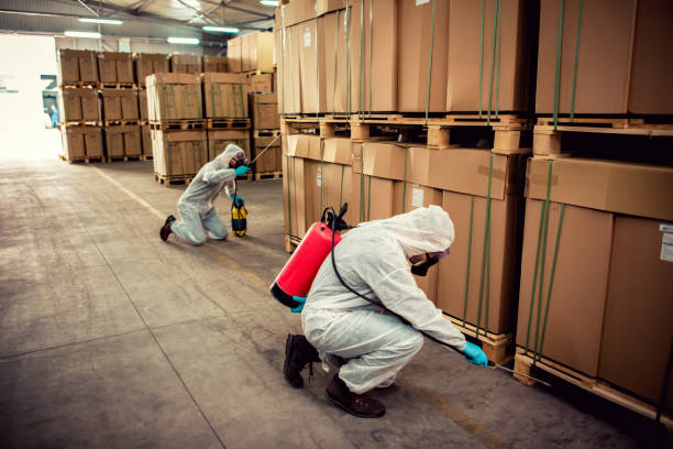 Best Rat Extermination Near Me  in South Miami Heights, FL