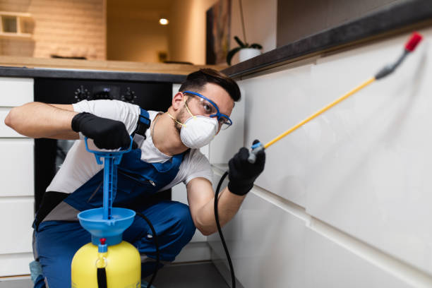 Best Flea Control Services  in South Miami Heights, FL