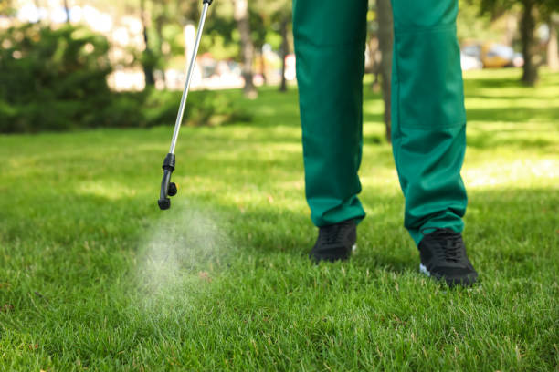 Best Wasp Removal Services  in South Miami Heights, FL