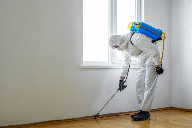 Best Commercial Pest Control Services  in South Miami Heights, FL