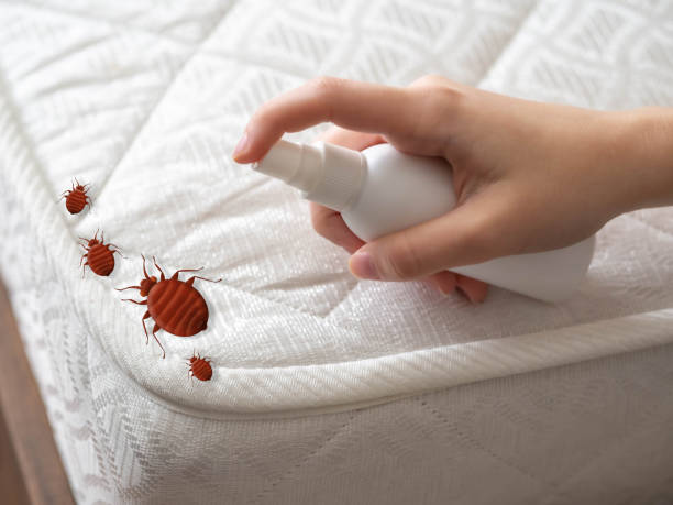 Best Pest Inspection Near Me  in South Miami Heights, FL