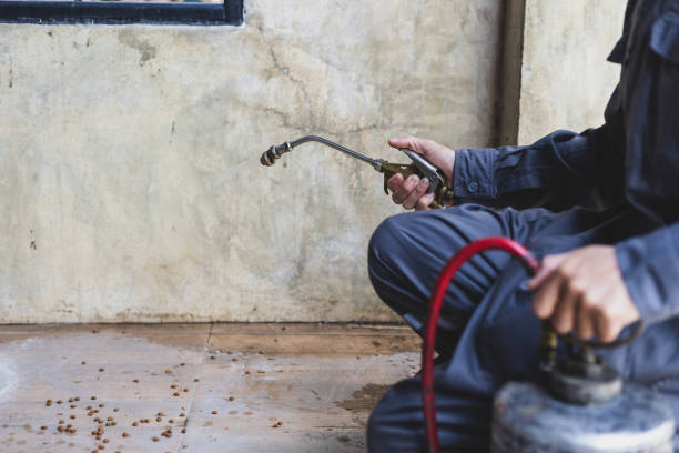 Best Affordable Pest Control Services  in South Miami Heights, FL
